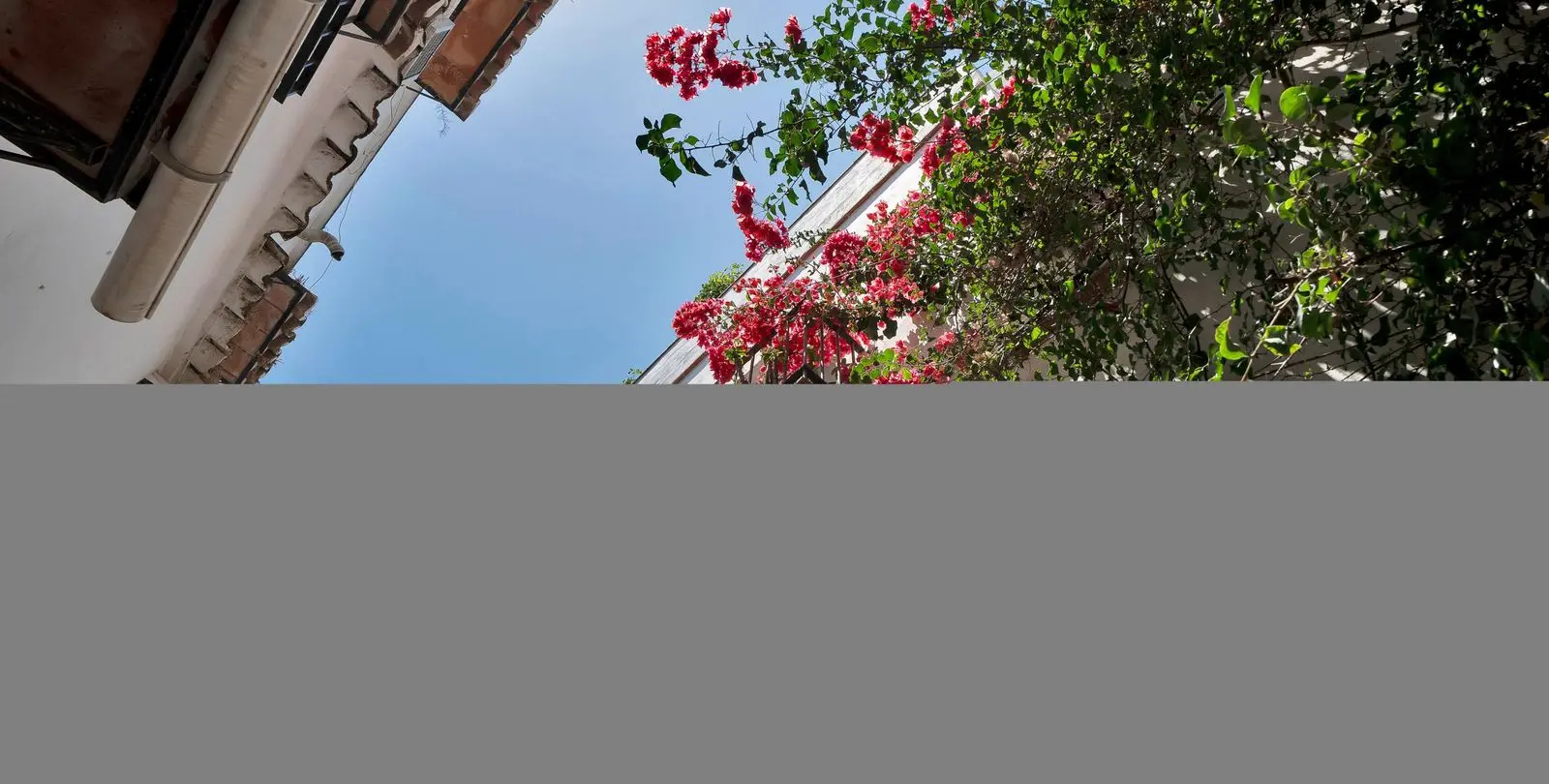 Sale of commercial premises in Marbella 7