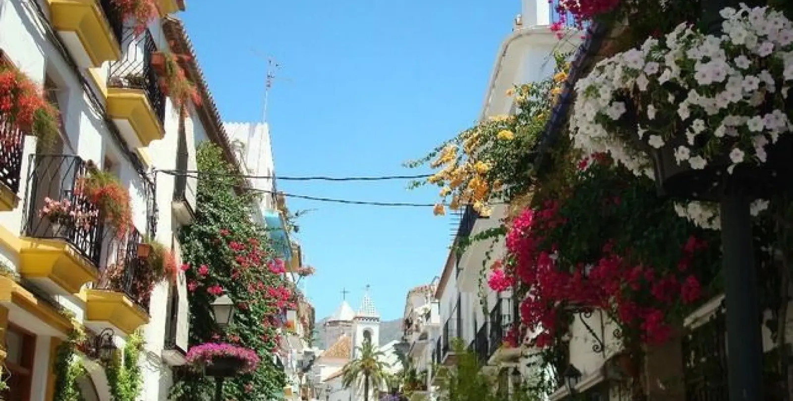 Sale of commercial premises in Marbella 49