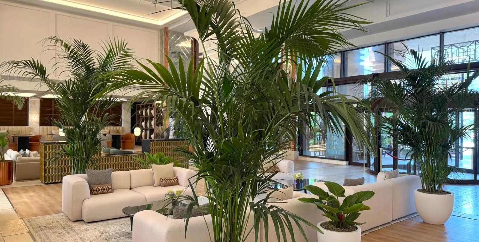 Sale of middle floor apartment in New Golden Mile 22