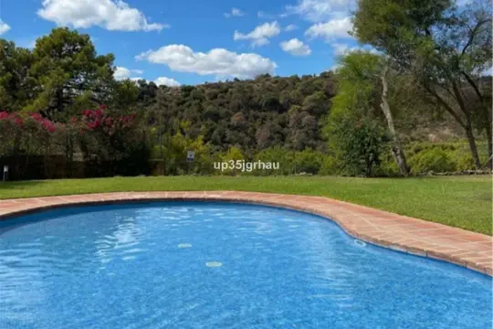 Image 4 thumb