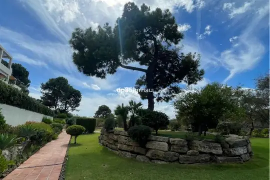 Image 7 thumb
