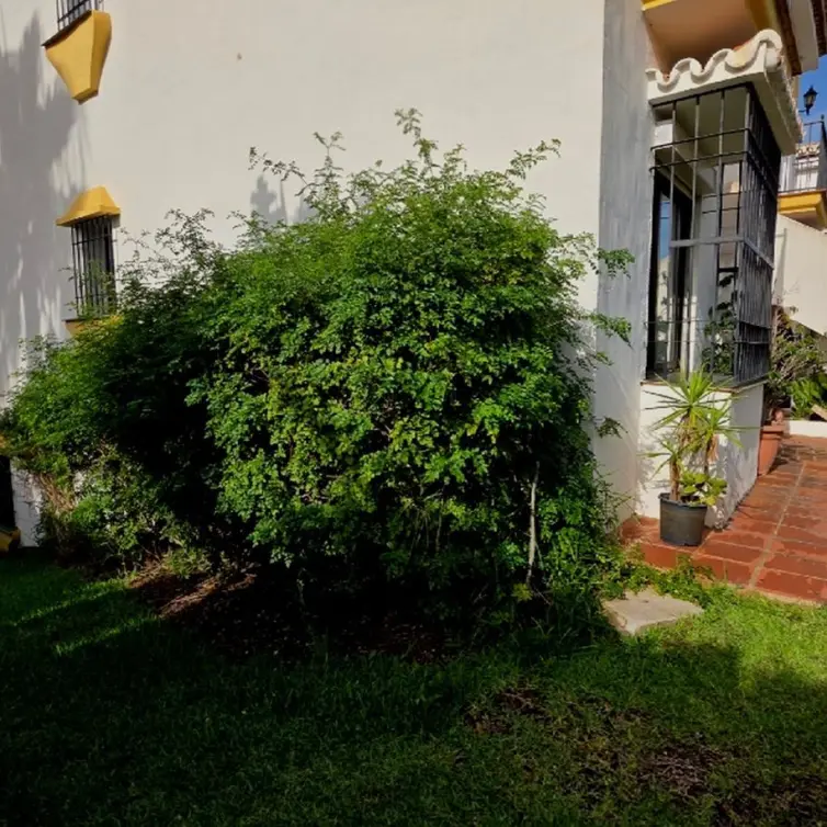 Venta de apartamento en planta baja en La Cala