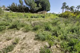 Image 4 thumb