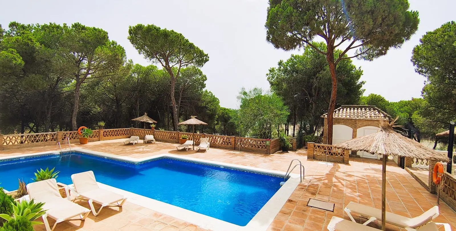 Sale of middle floor apartment in Nueva Andalucía 30