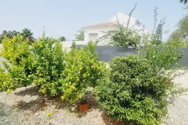 Image 65 thumb