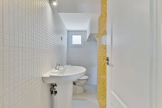Image 17 thumb