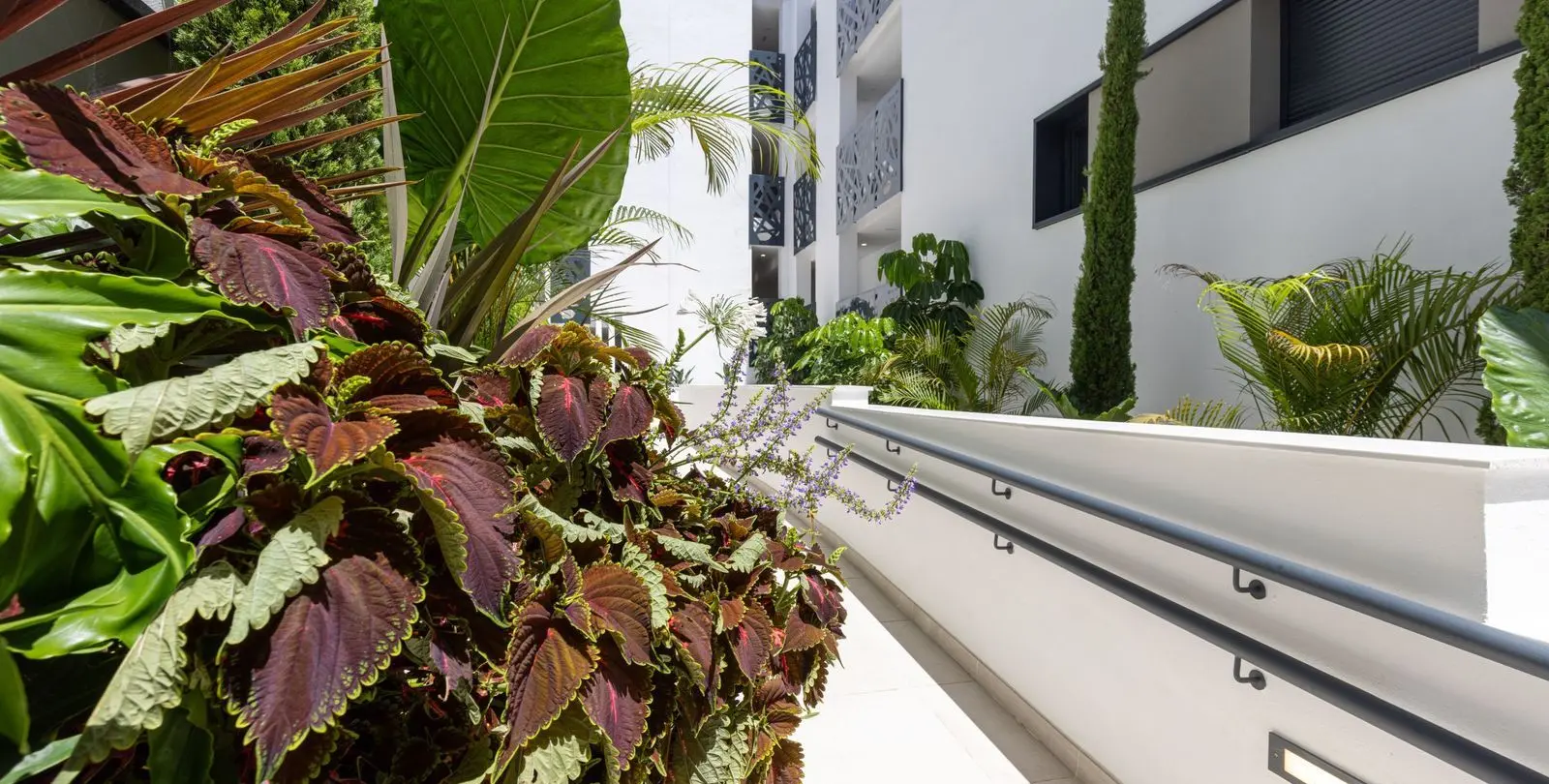 Продажа апартаментов на среднем этаже в Estepona 41