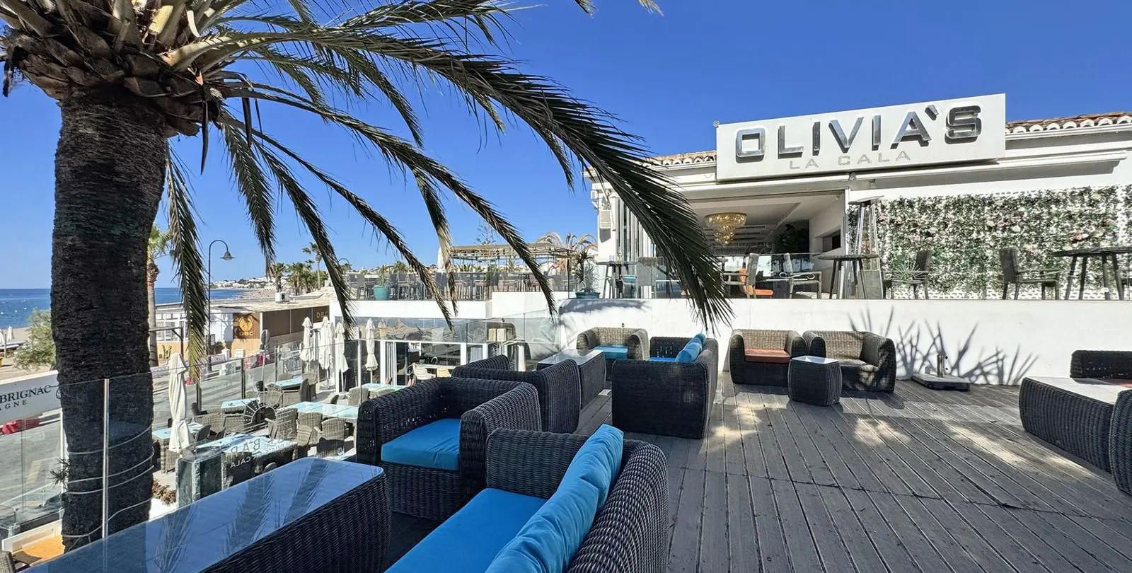 Продажа ресторана в La Cala de Mijas 19