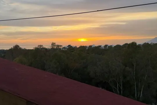 Image 14 thumb