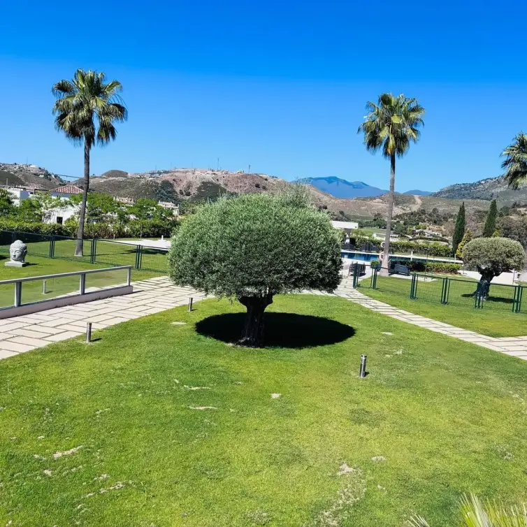 Sale of middle floor apartment in Benahavís