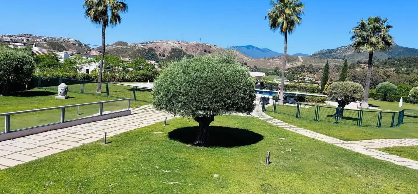 Sale of middle floor apartment in Benahavís 2