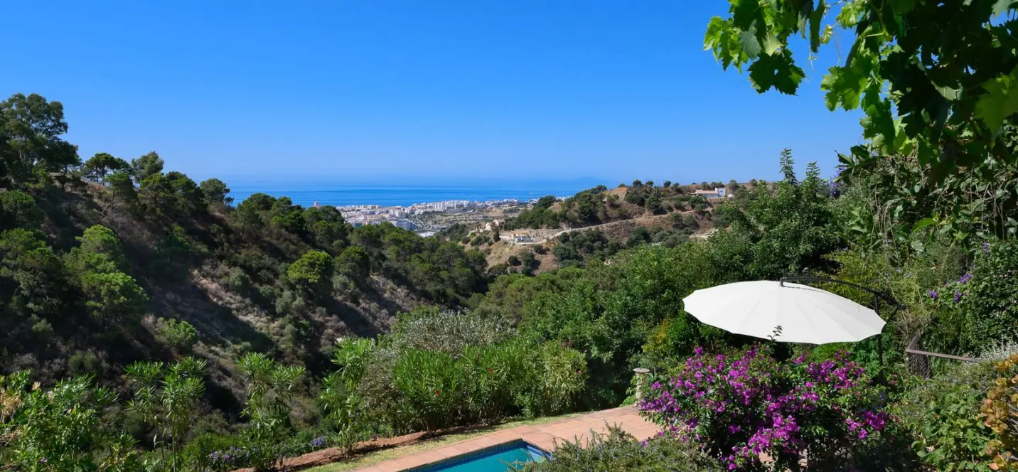 Продажа  отдельно стоящей виллы в Estepona 0