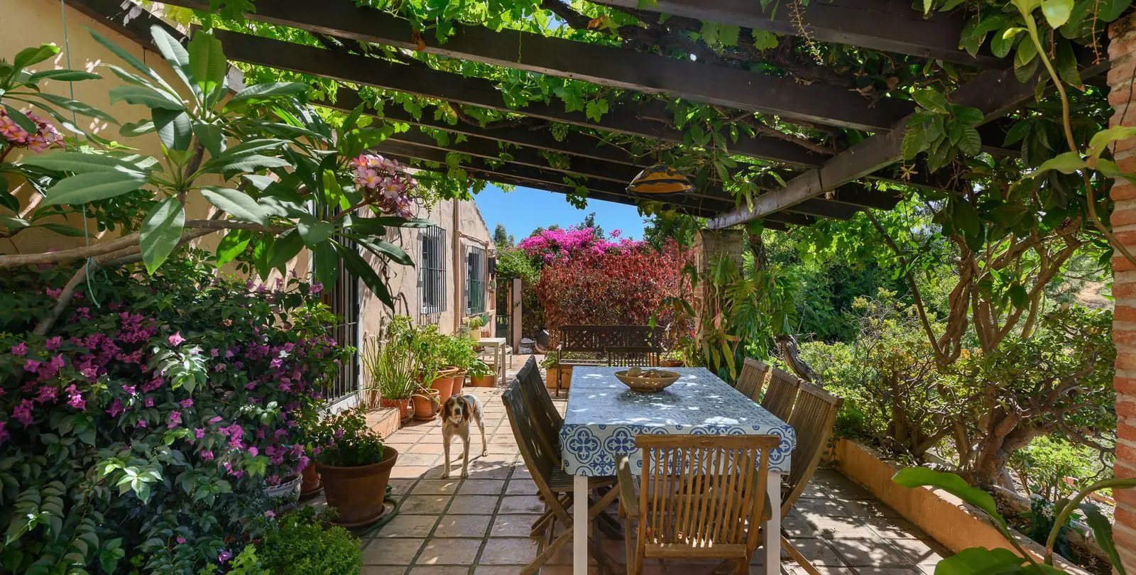 Продажа  отдельно стоящей виллы в Estepona 3