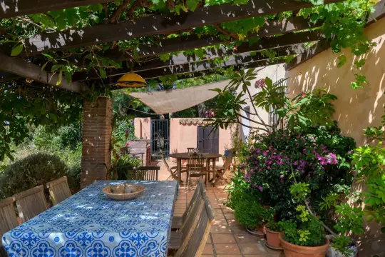 Image 4 thumb