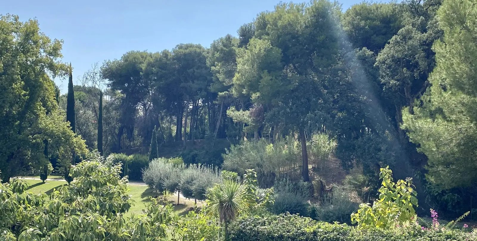 Sale of detached villa in Benamara 23