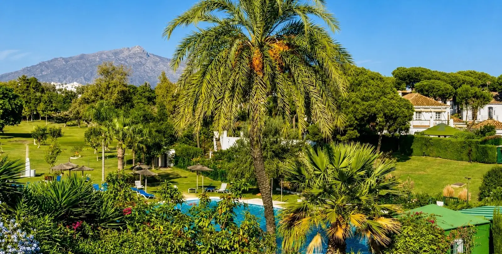 Sale of detached villa in Benamara 25