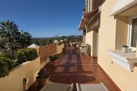 Image 4 thumb