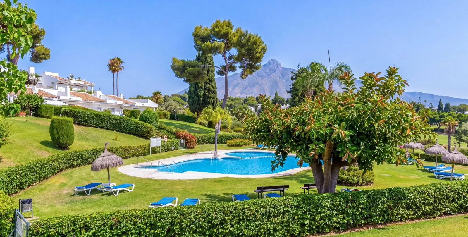 Sale of penthouse duplex in Nueva Andalucía 5