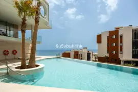 Image 4 thumb