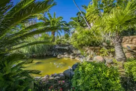 Image 28 thumb