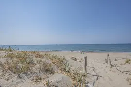 Image 65 thumb