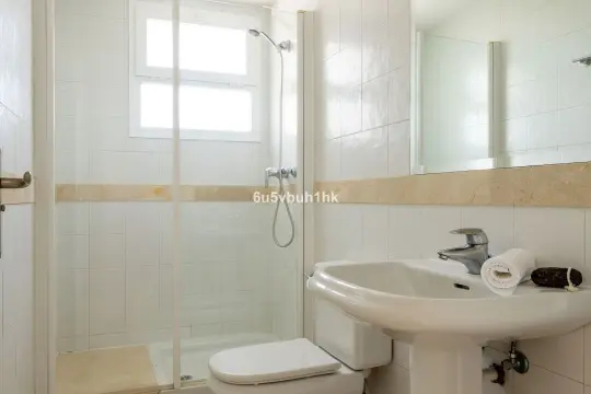 Image 13 thumb