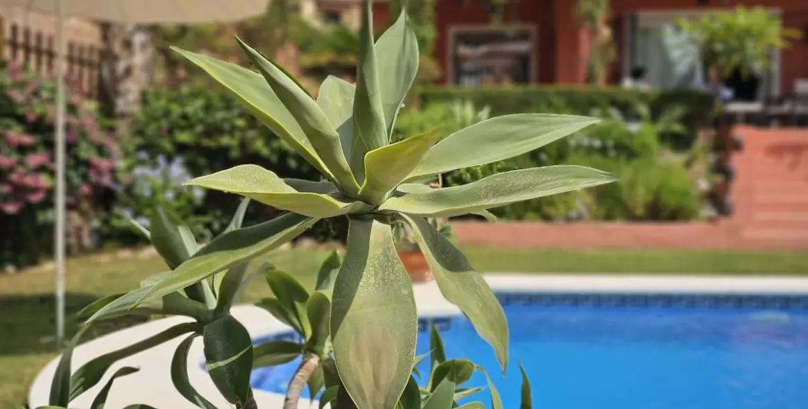 Venta de villa independiente en Pinares de San Antón 1
