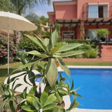 Venta de villa independiente en Pinares de San Antón