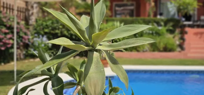 Venta de villa independiente en Pinares de San Antón 0
