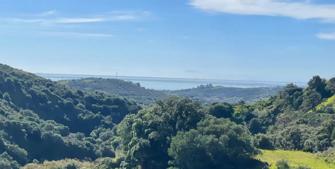 Sale of farm in Estepona 3