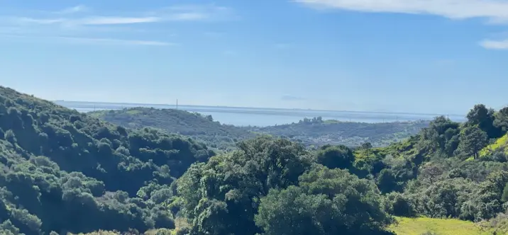 Sale of farm in Estepona 2