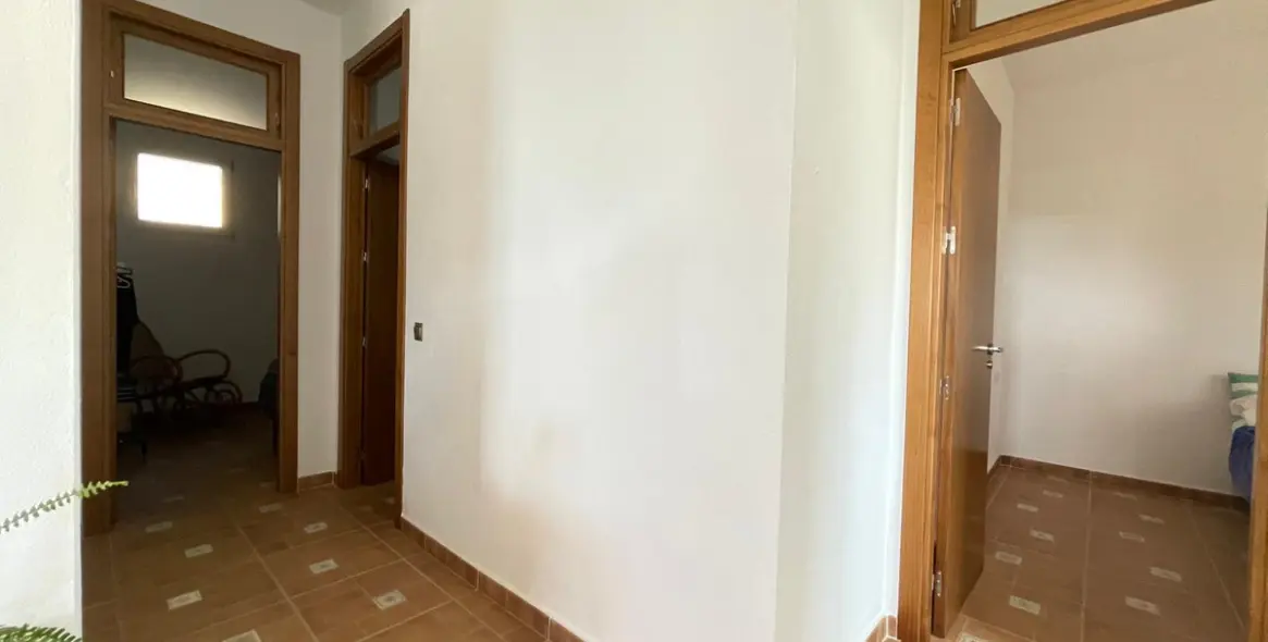Sale of farm in Estepona 13