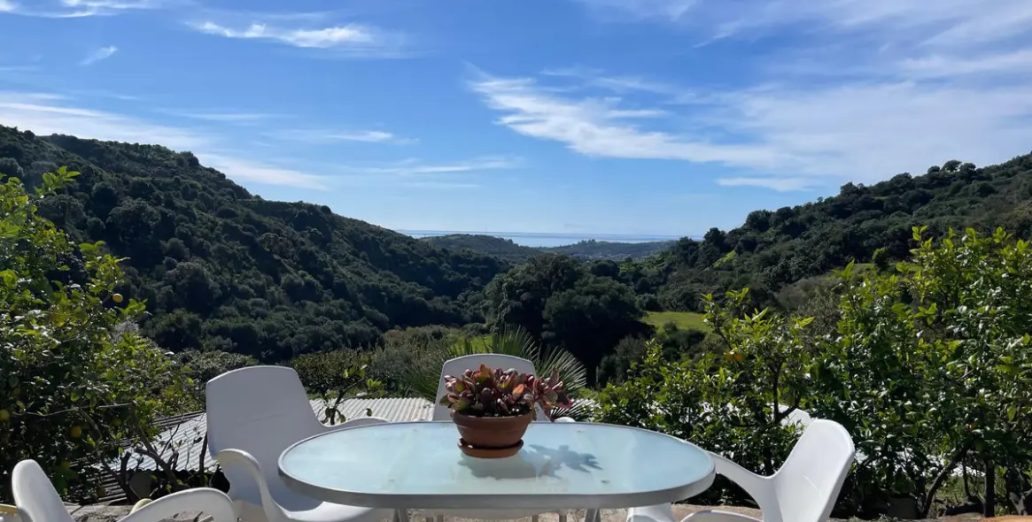 Sale of farm in Estepona 20