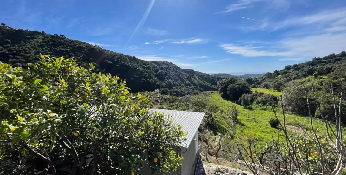 Sale of farm in Estepona 31
