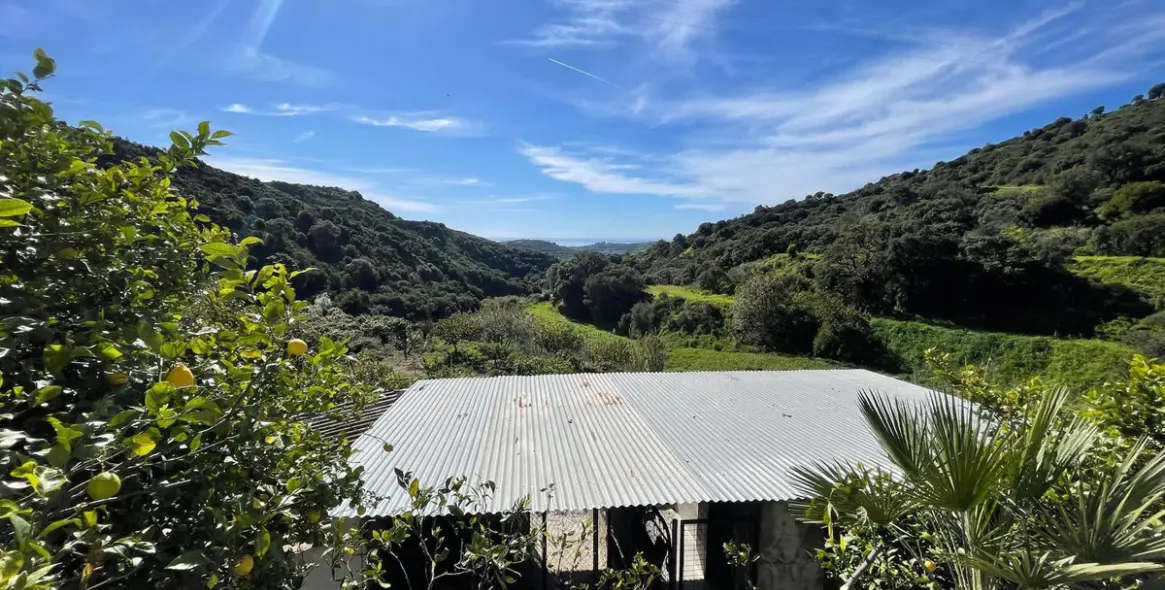 Sale of farm in Estepona 32