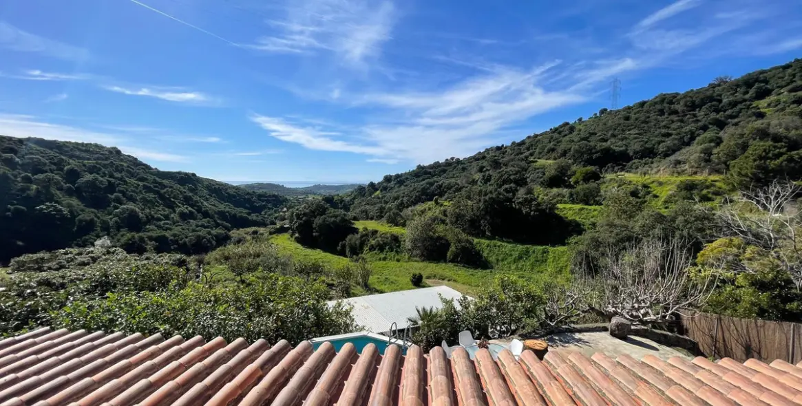 Sale of farm in Estepona 33