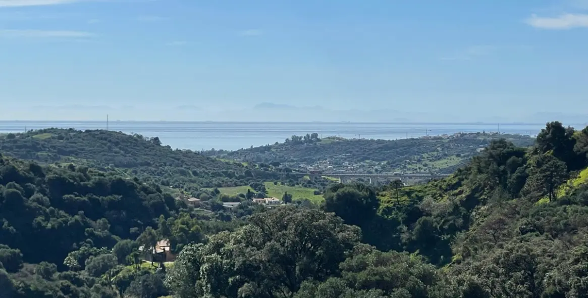 Sale of farm in Estepona 37