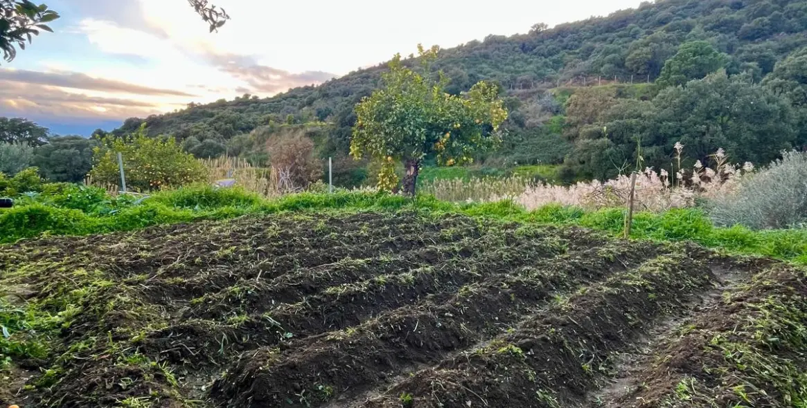 Sale of farm in Estepona 41