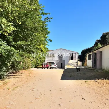 Venta de granja en Arriate