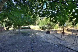 Image 18 thumb