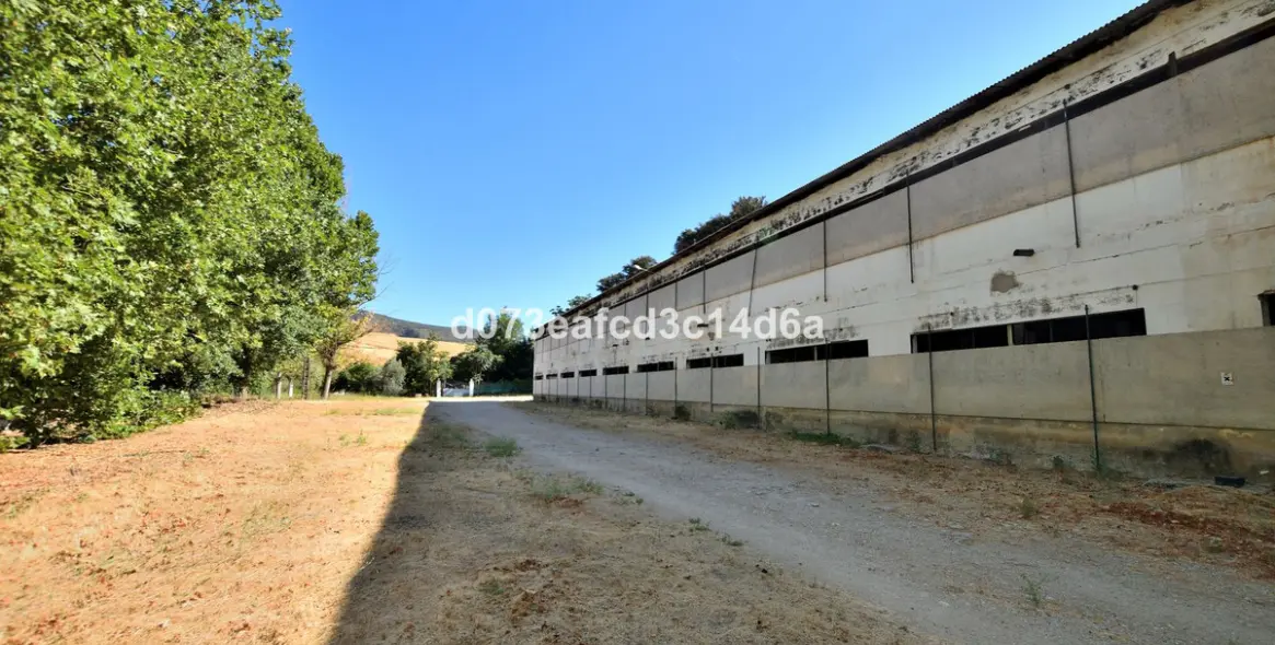 Venta de granja en Arriate 27