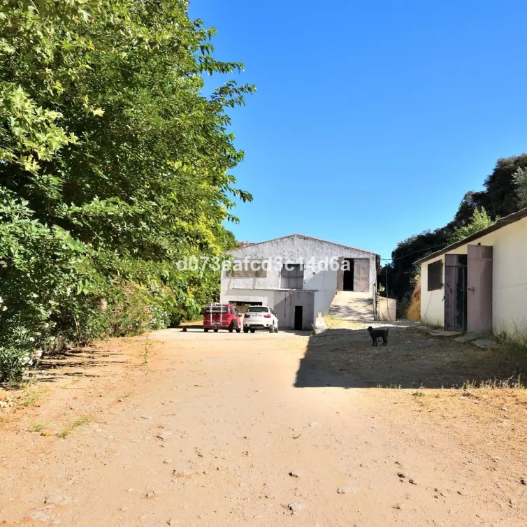 Sale of farm in Arriate