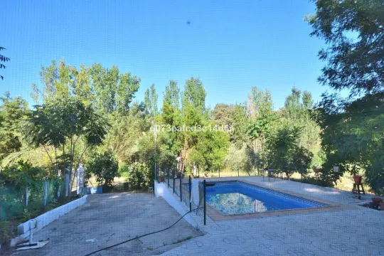 Image 10 thumb