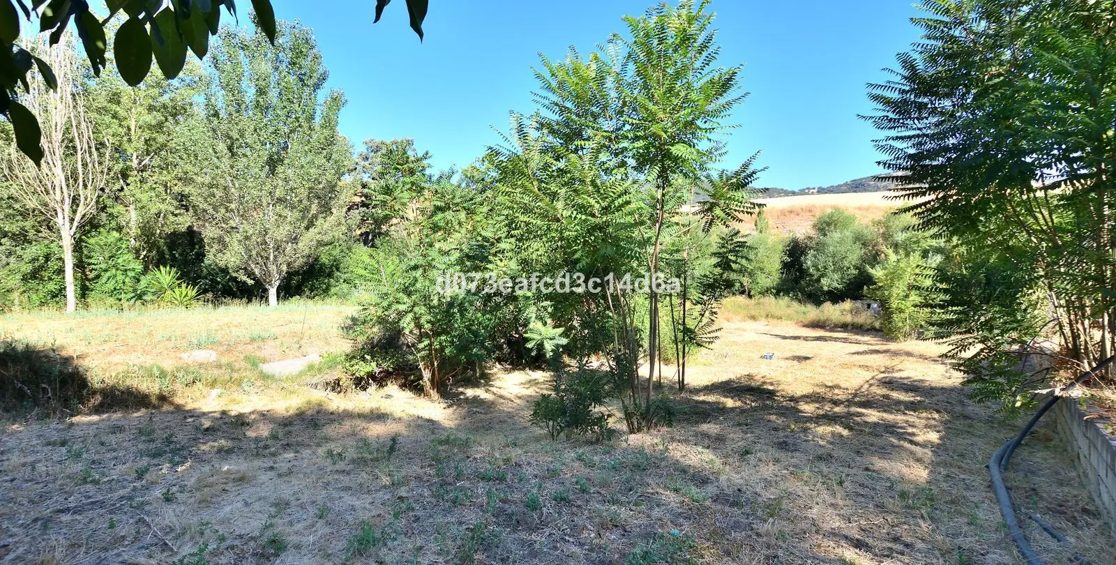 Продажа фермы в Arriate 14