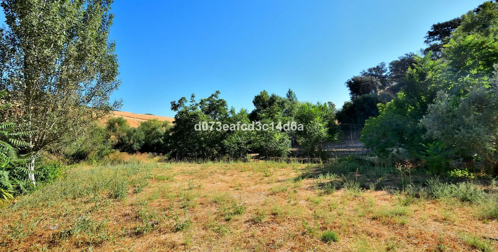 Продажа фермы в Arriate 16