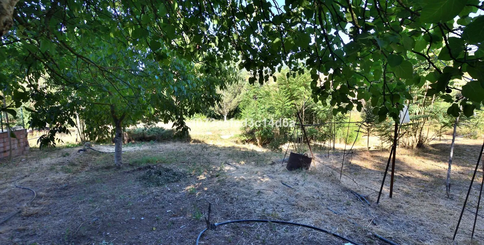 Продажа фермы в Arriate 18