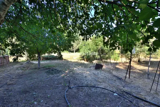 Image 18 thumb