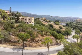 Image 6 thumb