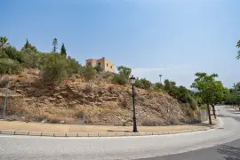 Image 8 thumb