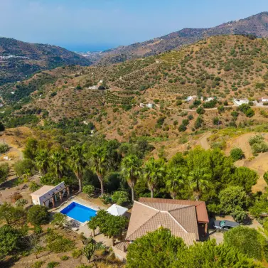 Venta de finca - cortijo en Sayalonga